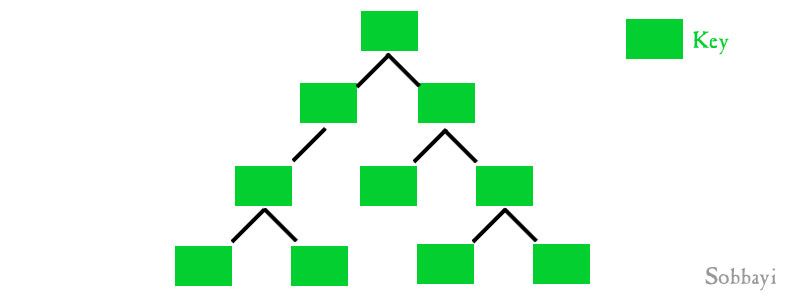 Binary Tree Set C++ STL Associative Containers
