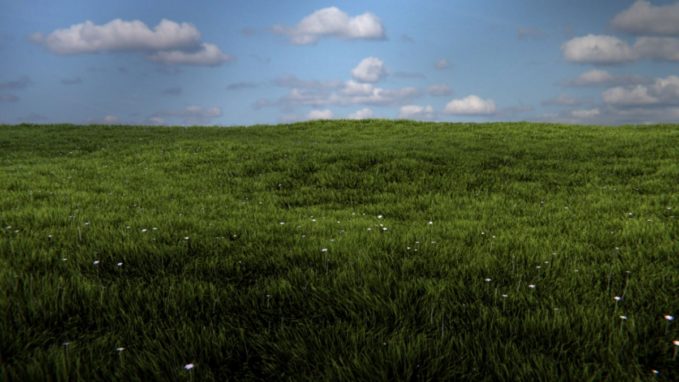 Grass in 3D, a CG Blender Rendered Field
